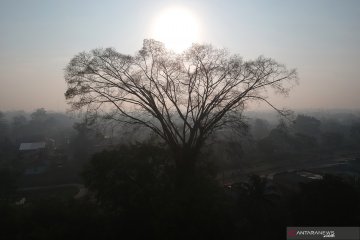 Kabut asap masih selimuti Jambi