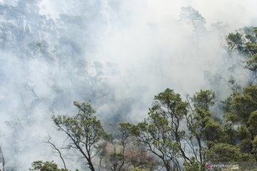 Prakiraan BPBD luas lahan terbakar Kawah Putih Ciwidey  20 hektare