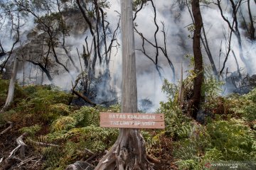 Kebakaran hutan di kawasan Kawah Putih