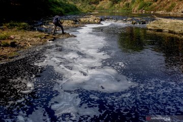 Sungai Cileungsi tercemar limbah pabrik