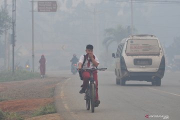 Kabut asap di Jambi