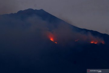 40 personel dikerahkan untuk padamkan kebakaran hutan Gunung Arjuno