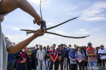 Edukasi budidaya mangrove