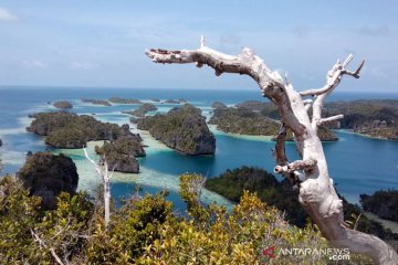 Menhub akan kaji rencana pembangunan bandara baru di Raja Ampat