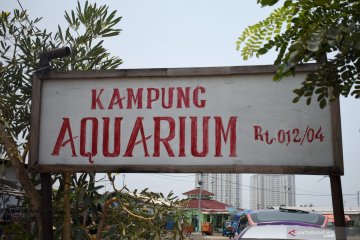Kampung Akuarium, pemukiman di bekas laboratorium Teluk Jakarta