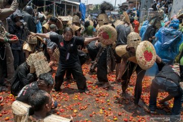 Tradisi rempug  perang tomat