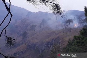 Hutan Gunung Andong di Magelang terbakar