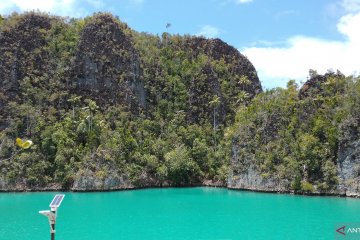 WNA hilang di hutan Raja Ampat ditemukan selamat