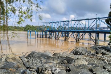 Sungai Batanghari terus alami pendangkalan