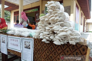 Peneliti: Perempuan berperan besar di tengah larangan pembakaran lahan