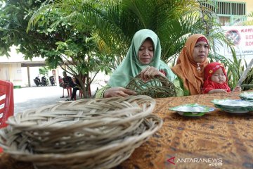 Temusai Kampung Hijau, sumbangsih desa gambut atasi karhutla