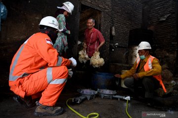Jaringan gas bumi PGN untuk UMKM ayam potong