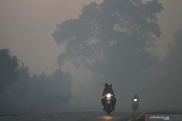 Asap kebakaran lahan di Kalimantan Selatan