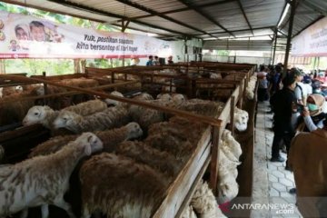 ACT Aceh: Gampong Ie Suum jadi lokasi ternak domba wakaf