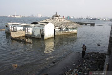 Permukaan air laut Jakarta Utara 1,5 meter di atas tanah