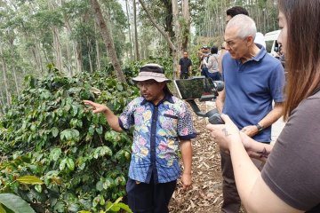12 investor asing kunjungi kebun kopi di Pangalengan