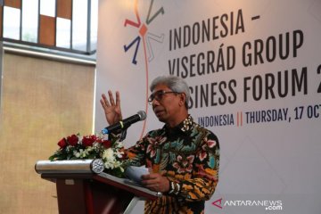 Indonesia dorong kerja sama naker, teknologi dengan Visegrad