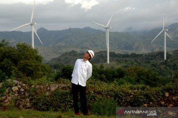 Ekonomi hijau ala Jokowi di tengah pandemi