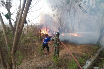 300 hektare lahan terbakar di Gunung Tambora berhasil dipadamkan