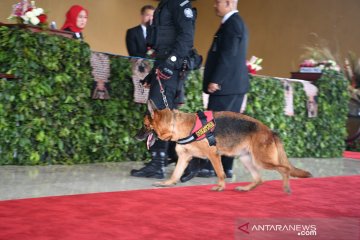 Jelang pelantikan presiden, Paspampres kerahkan anjing pelacak sterilisasi gedung parlemen