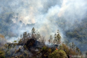 Kebakaran lahan dan hutan di Kintamani