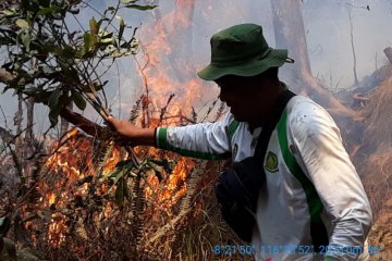 TN Gunung Rinjani: Para pendaki aman ketika hutan terbakar