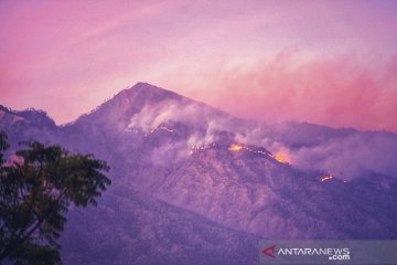 Pendakian Gunung Rinjani Lombok ditutup akibat kebakaran hutan