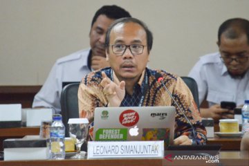 Greenpeace: Indonesia salah satu wilayah dengan hutan hujan tersisa