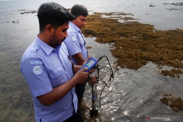 Gejala coral bleaching terumbu karang pesisir Selatan