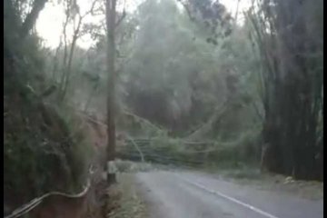 Puluhan warga Pakis Magelang mengungsi karena angin kencang.