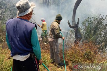 Dishut: 731.413 hektare hutan Sultra terbakar