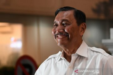 Luhut tawarkan Singapura peluang investasi di ibu kota baru