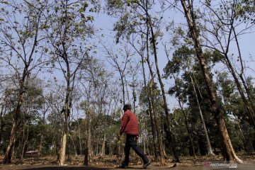 Udara Pegadungan paling tidak sehat se-Jakarta