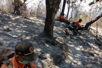 Tim penanganan karhutla terjebak kebakaran di Gunung Argopuro