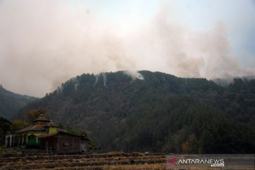 Kebakaran hutan pinus Gowa