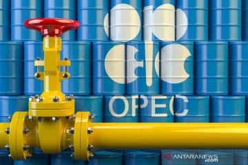 Harga minyak hanya naik tipis, investor tunggu penurunan produksi OPEC