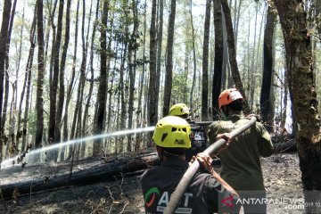 Kebakaran hutan di Gowa mulai padam