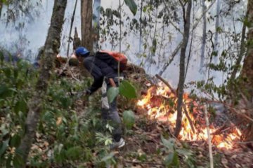 150 hektare hangus akibat kebakaran lahan di kawasan TN Gunun Ciremai
