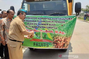 Bupati Cirebon lepas ekspor mangga ke Timur Tengah