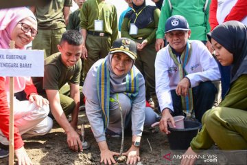 Jaga lingkungan dan mitigasi, 1 juta mangrove ditanam di Lombok Barat