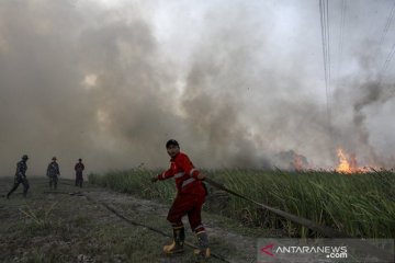 BNPB: Indonesia hadapi kemarau dengan suhu terpanas, karhutla marak