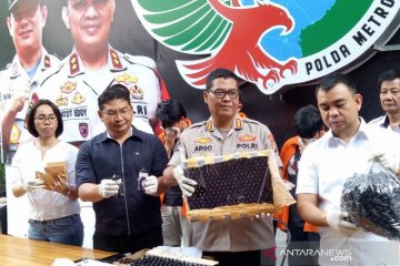 Polisi bongkar komplotan pengedar cairan vape mengandung narkoba