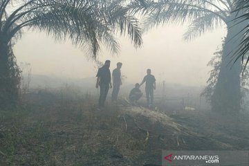 BMKG deteksi lonjakan titik panas di Riau