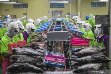 KKP: China mendominasi investasi kelautan dan perikanan di Indonesia
