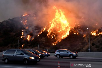 Kebakaran lahan di Los Angeles semakin meluas