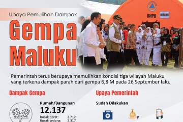 Upaya pemulihan dampak gempa Maluku