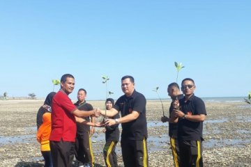 Di Pantai Sulamanda-NTT, warga desa menanam ribuan pohon bakau