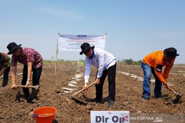 PTPN X tanam perdana lahan "agroforestry" tebu di Nganjuk
