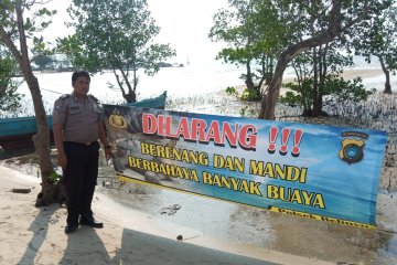 Spanduk peringatan ancaman buaya dipasang di kawasan pantai Belinyu