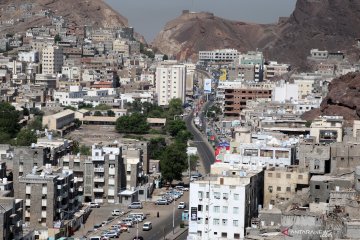 50 warga Yaman meninggal akibat demam cikungunya